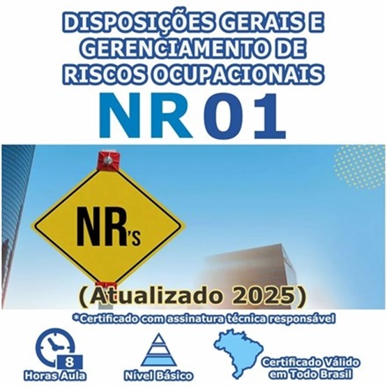 Curso NR 1 - Disposições Gerais e Gerenciamento de Riscos Ocupacionais