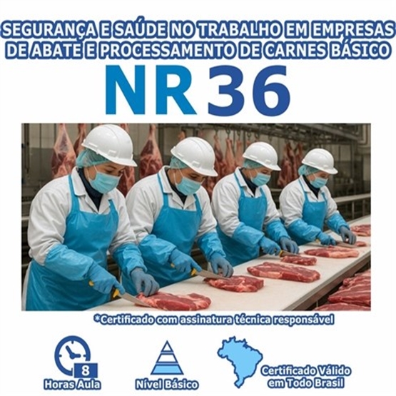 NR Cursos