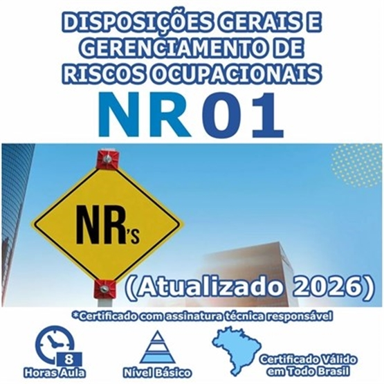 Curso NR 1 - Disposições Gerais e Gerenciamento de Riscos Ocupacionais