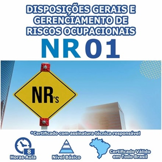 Curso NR 1 - Disposições Gerais e Gerenciamento de Riscos Ocupacionais